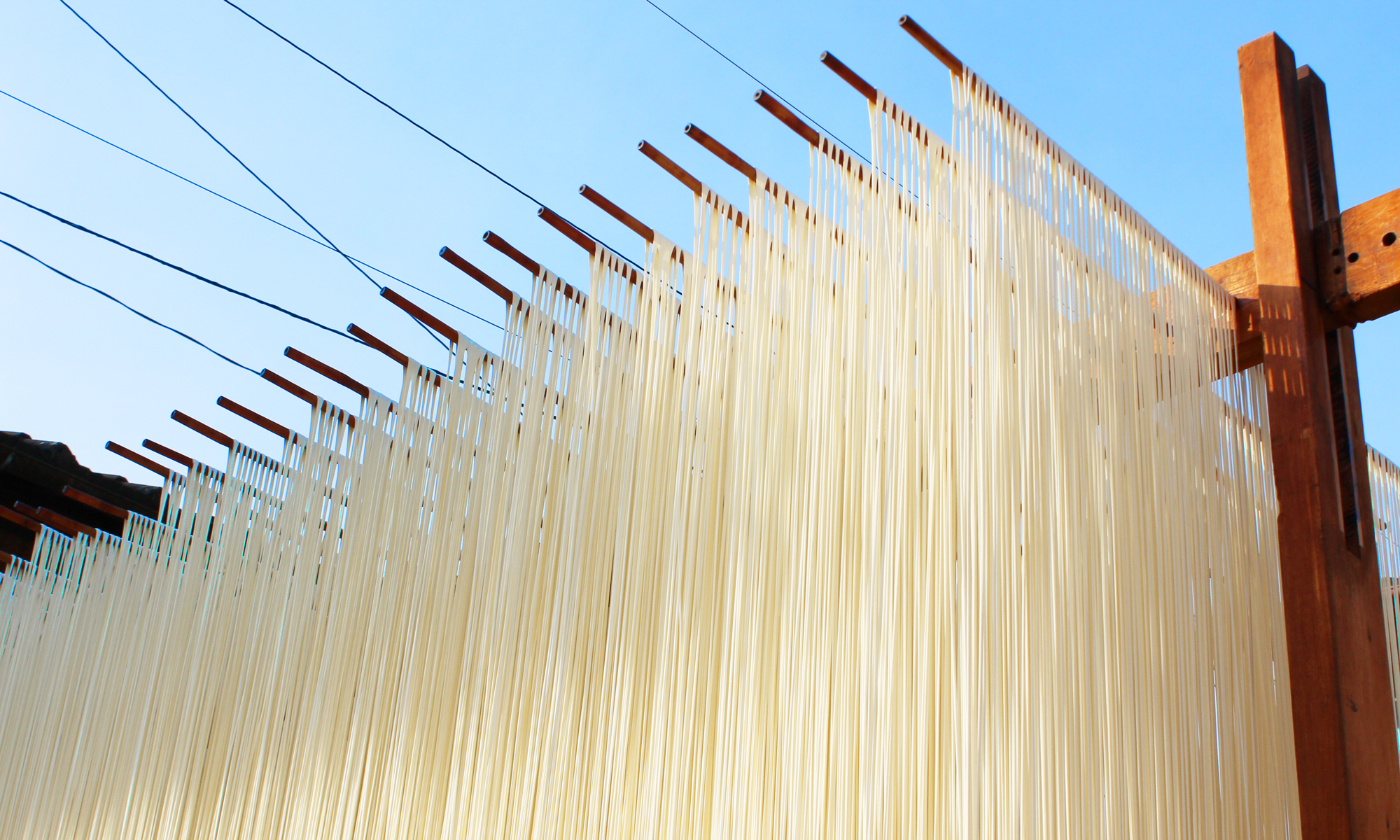 杉本手延製麺　半田手延べそうめん