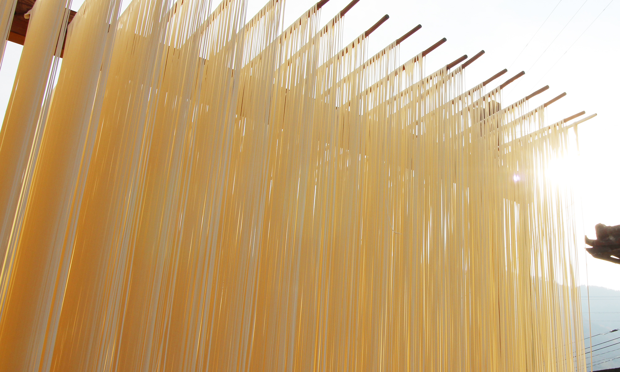 杉本手延製麺　半田手延べそうめん